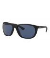 Ray-Ban RB 4307 601S/80